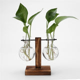 Desktop Glass and Wood Vase Planter Terrarium