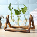Desktop Glass and Wood Vase Planter Terrarium