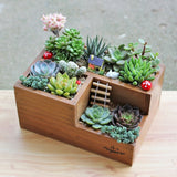 Wooden Flowerpot for Succulent Plants